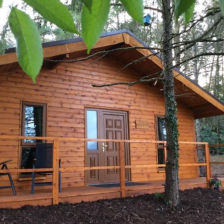 Butterfly Cabin Limerick Junction Exteriér fotografie