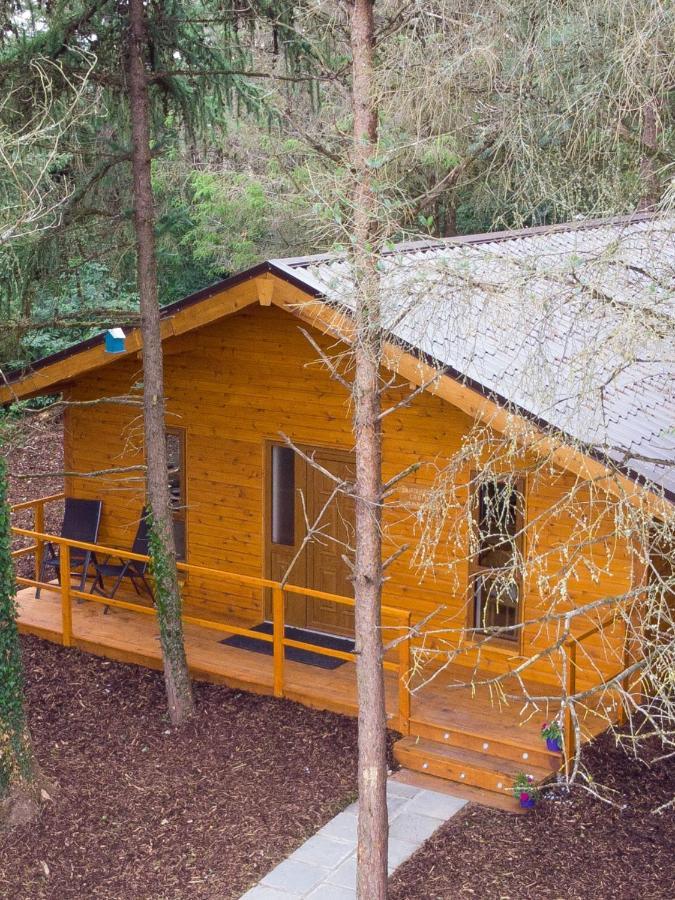 Butterfly Cabin Limerick Junction Exteriér fotografie