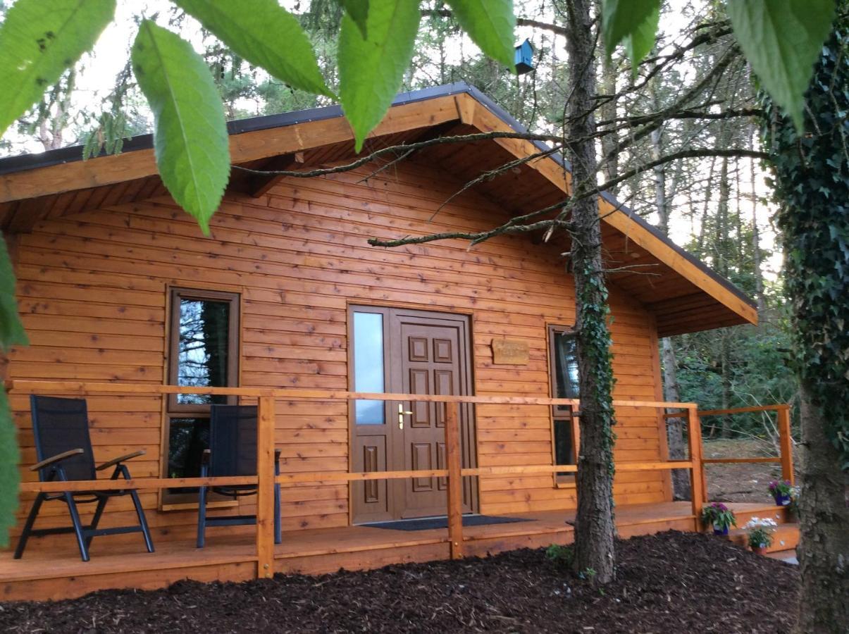 Butterfly Cabin Limerick Junction Exteriér fotografie