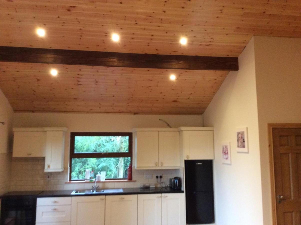 Butterfly Cabin Limerick Junction Exteriér fotografie