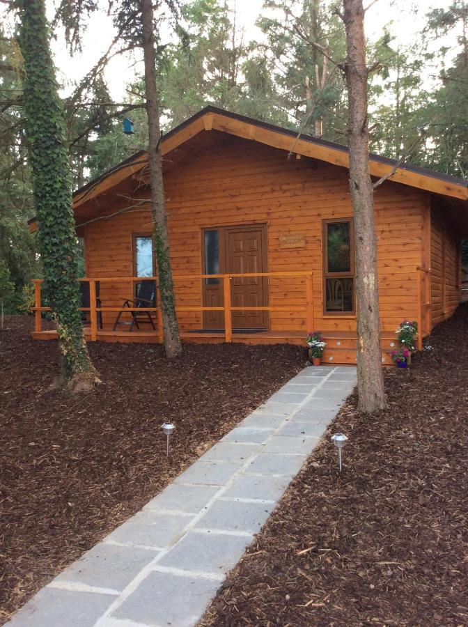 Butterfly Cabin Limerick Junction Exteriér fotografie