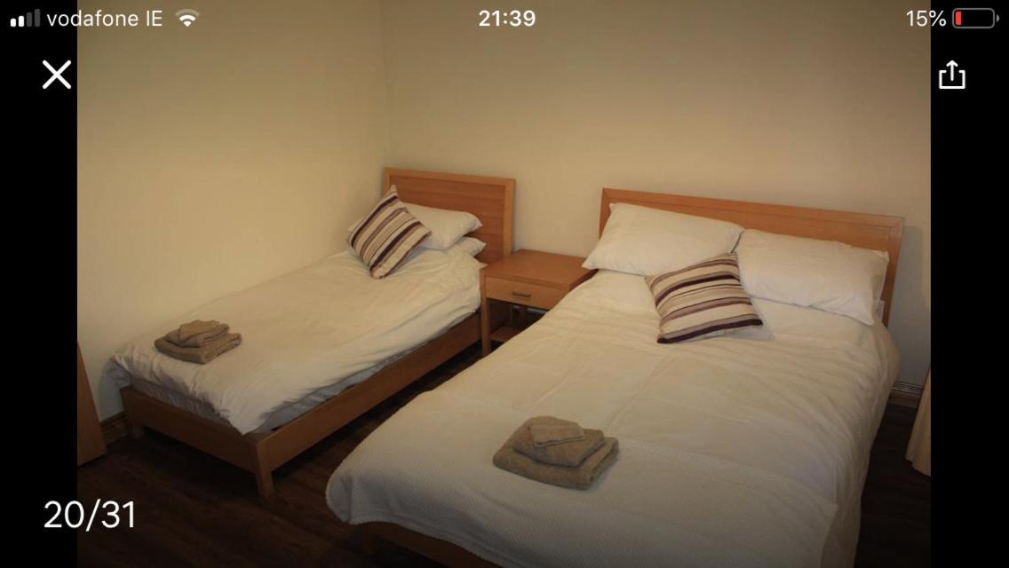 Butterfly Cabin Limerick Junction Exteriér fotografie
