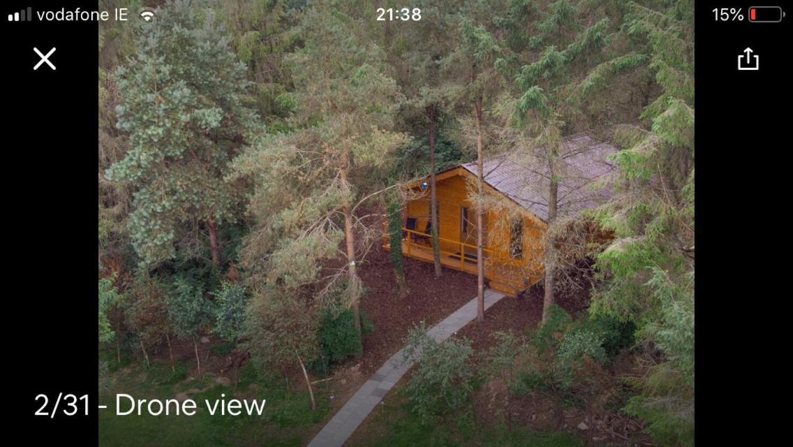 Butterfly Cabin Limerick Junction Exteriér fotografie